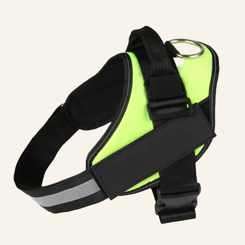 Dog harness with reflective strip on a white background