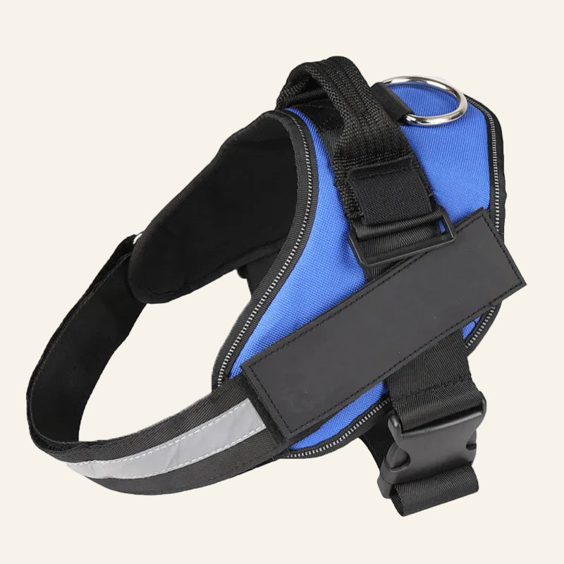 Blue and black dog harness with reflective stripes on a white background
