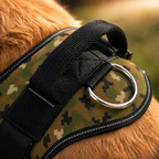 The Hound Halo – Personalized Dog Harness