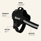 The Hound Halo – Personalized Dog Harness