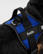 The Hound Halo – Personalized Dog Harness