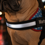 The Hound Halo – Personalized Dog Harness