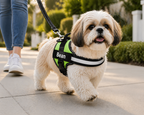 The Hound Halo – Personalized Dog Harness