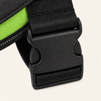 The Hound Halo – Personalized Dog Harness