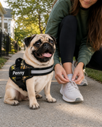 The Hound Halo – Personalized Dog Harness