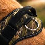 The Hound Halo – Personalized Dog Harness
