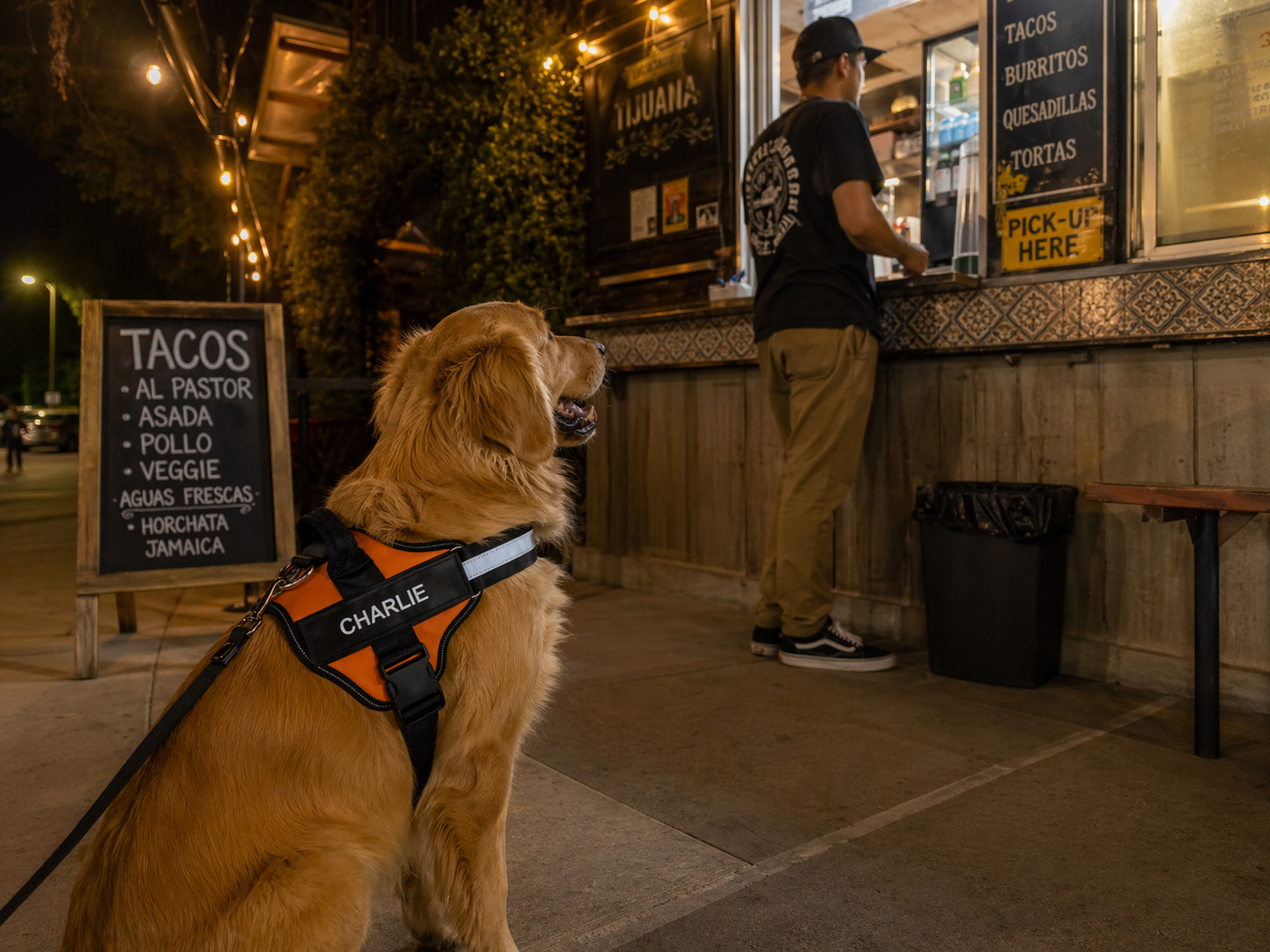 The Hound Halo – Personalized Dog Harness