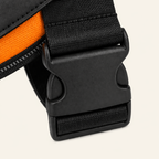 The Hound Halo – Personalized Dog Harness