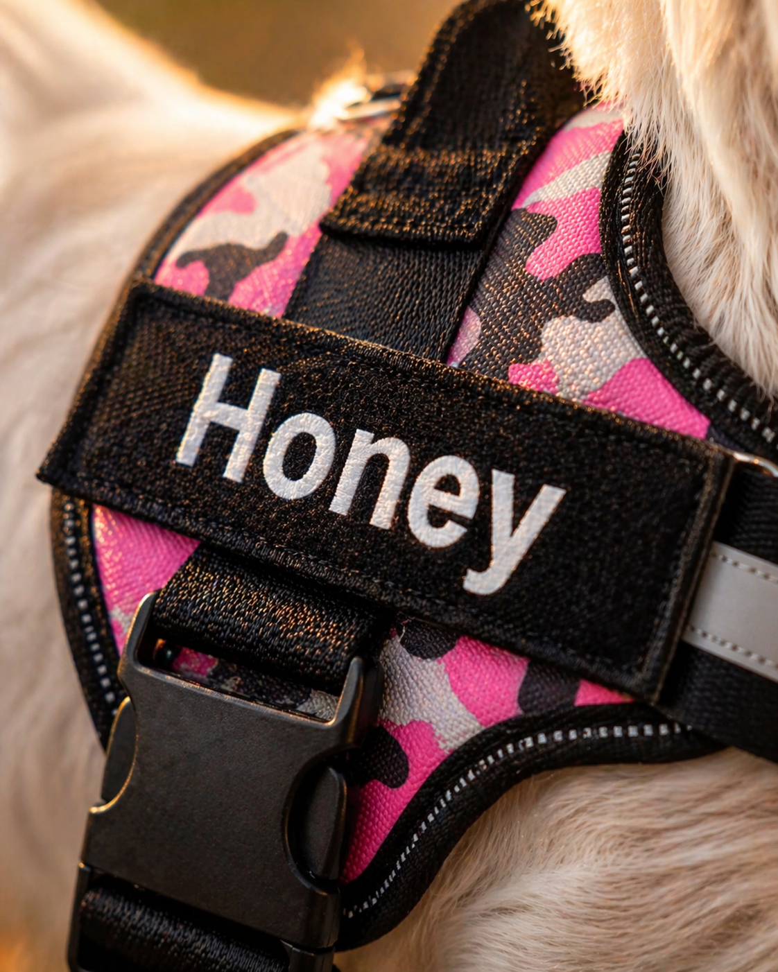 The Hound Halo – Personalized Dog Harness