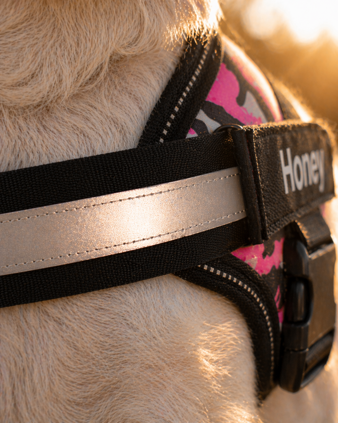 The Hound Halo – Personalized Dog Harness