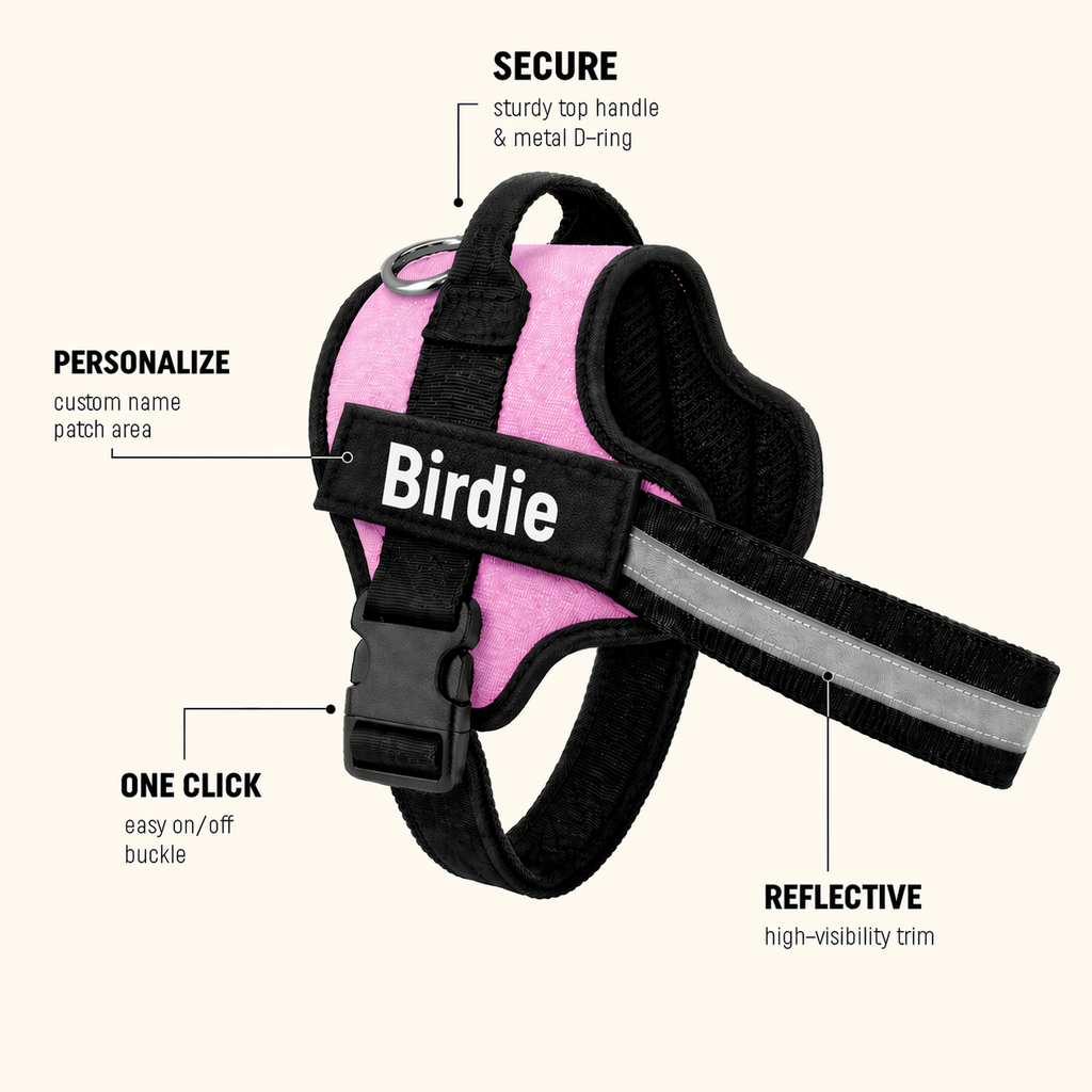 The Hound Halo – Personalized Dog Harness