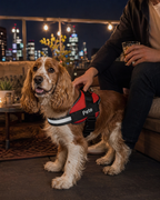 The Hound Halo – Personalized Dog Harness