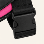The Hound Halo – Personalized Dog Harness