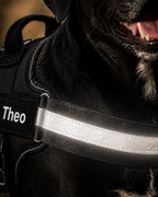 The Hound Halo – Personalized Dog Harness