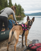The Hound Halo – Personalized Dog Harness