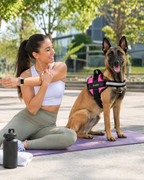 The Hound Halo – Personalized Dog Harness