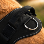 The Hound Halo – Personalized Dog Harness