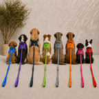 WUNDERleash – The Original No-Pull Dog Leash