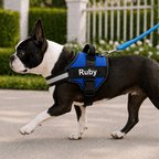 WUNDERleash – The Original No-Pull Dog Leash