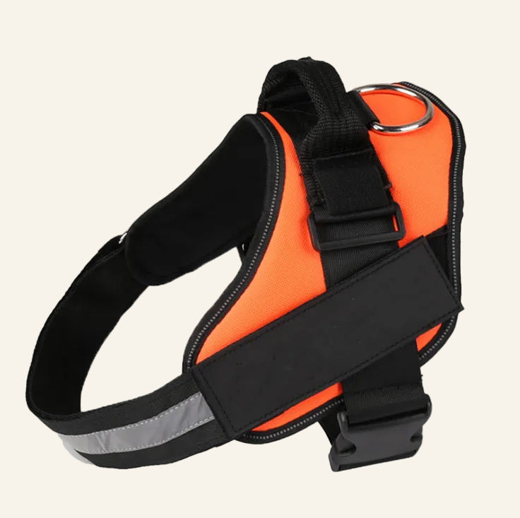 Orange dog harness with reflective black trim on a white background