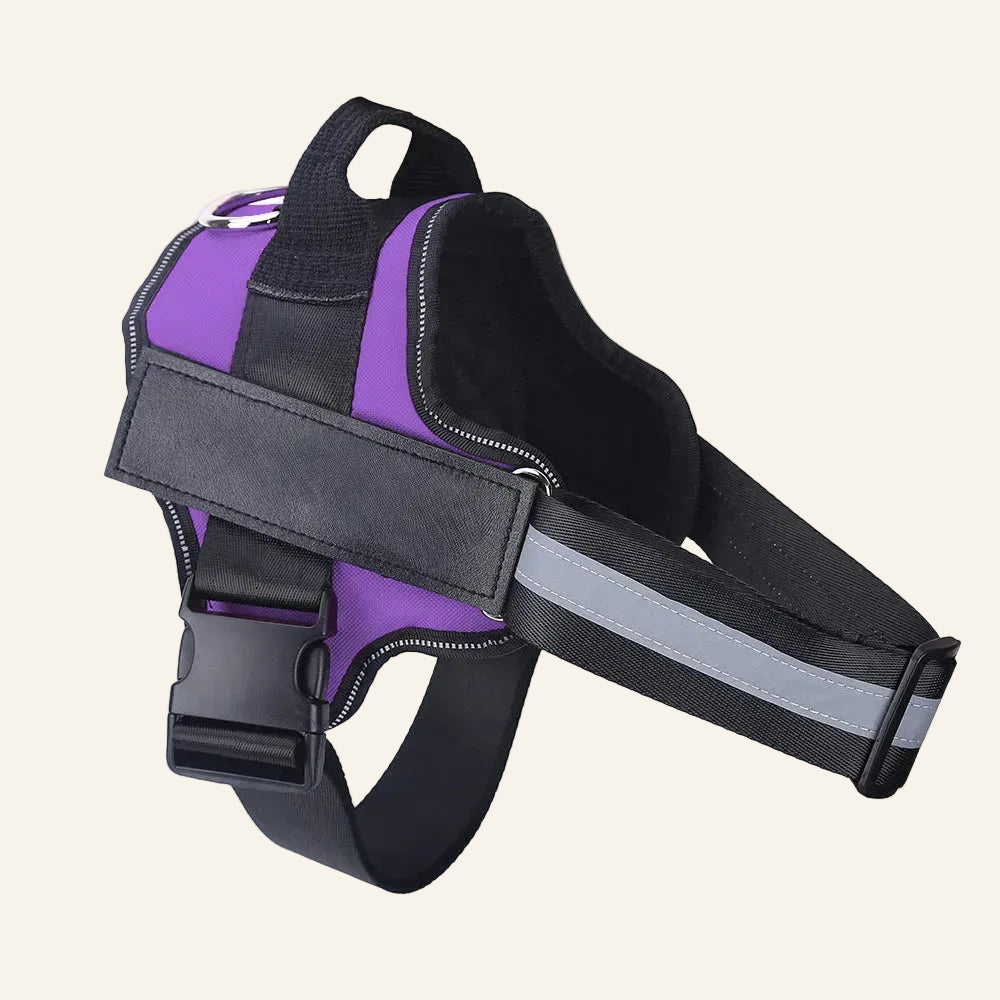 Purple and black dog harness with reflective strip on a white background